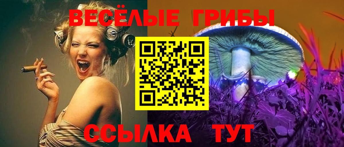 Елизово  Галлюциногенные грибы мицелий  наркошоп  Вход с VPN  Псилоцибиновые грибы Psilocybe 